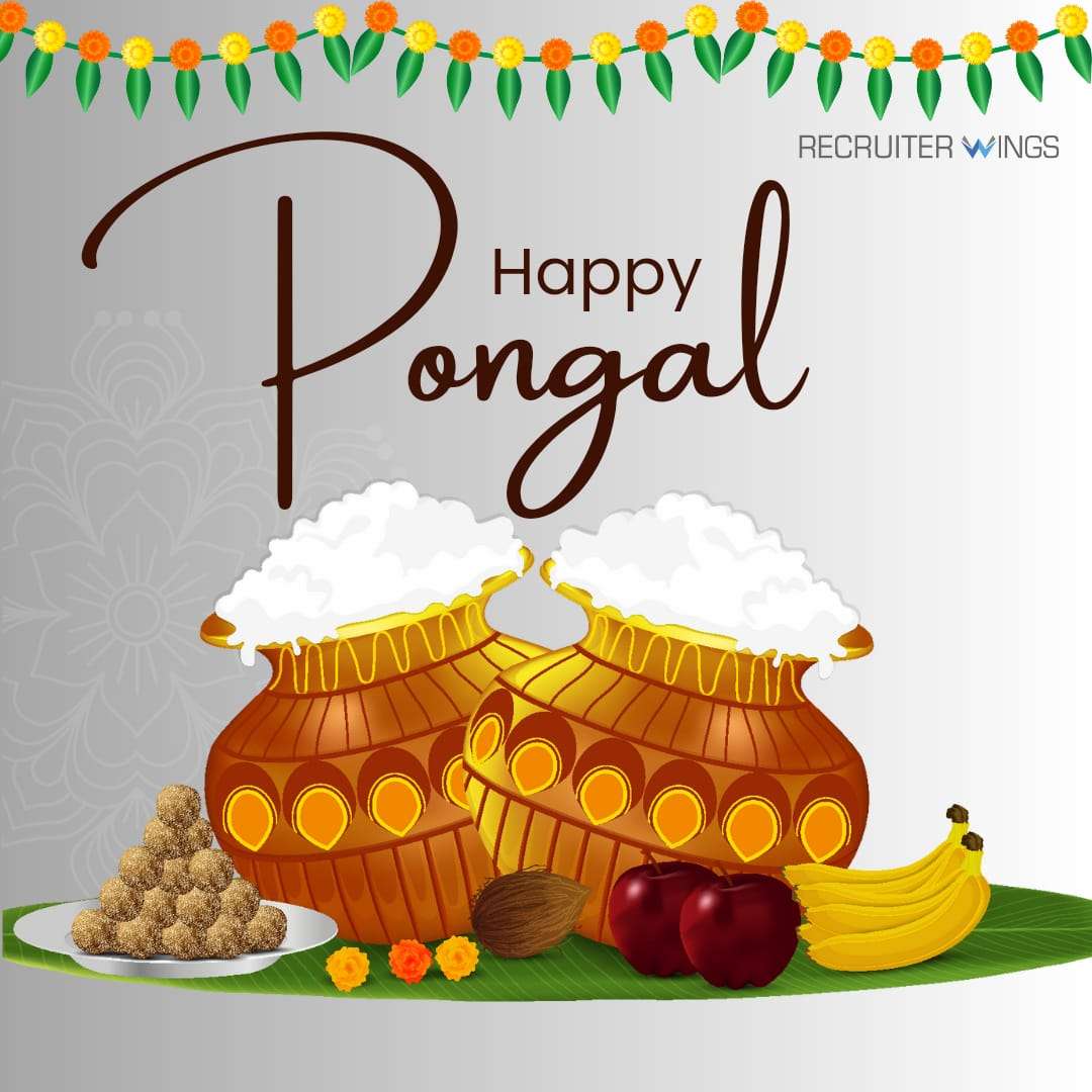 Sankranti Pongal 2024 festival wishes, joy, harvest, India