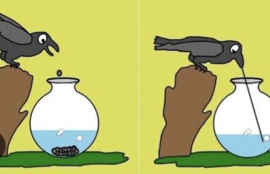 Hard work vs smart work - combining both strategies for success