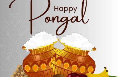 Sankranti Pongal 2024 festival wishes, joy, harvest, India